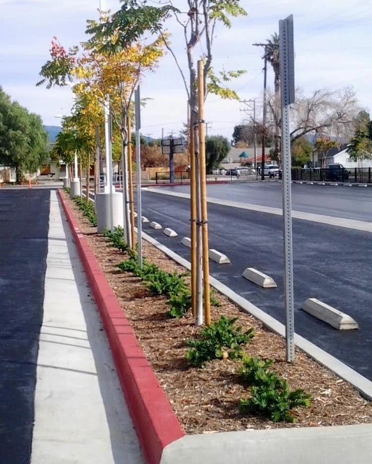 New concrete sidewalk and red-painted curb lining a freshly planted parkway beside a paved lot
